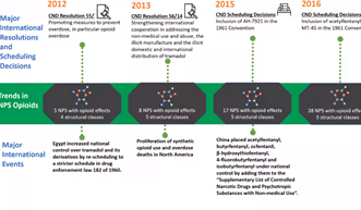 Synthetic Opioids: Considerations for the Class-Wide Scheduling of Fentanyl-Related  Substances